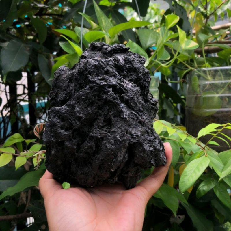 Đá Đen Gia Lai 1 Kg