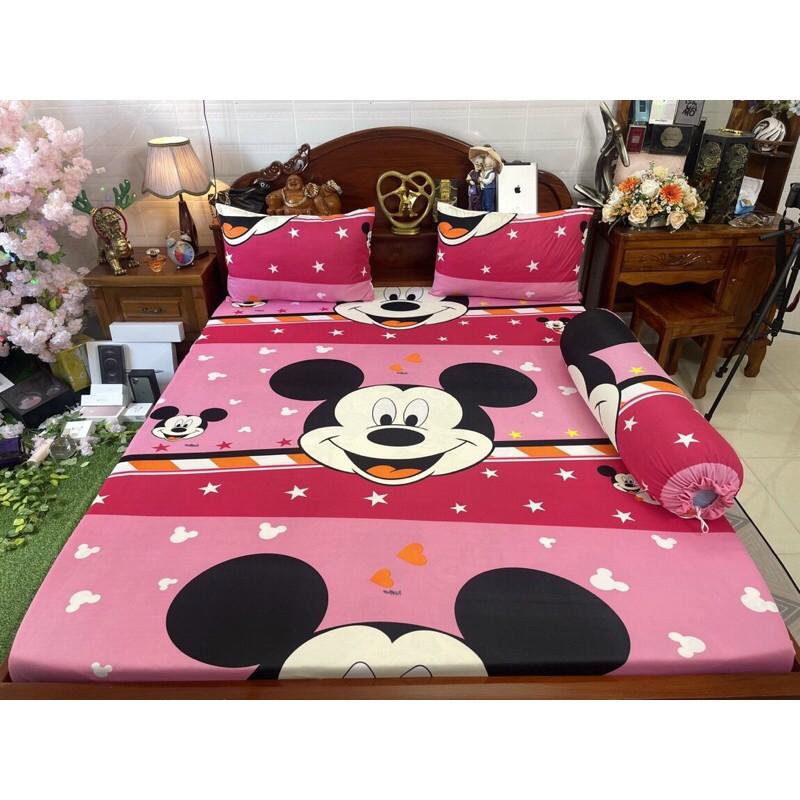 Drap thun hàn quốc