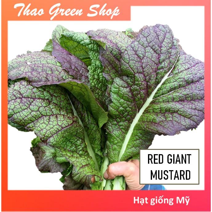 Hạt giống Cải Mù Tạt Mỹ - 400 hạt
