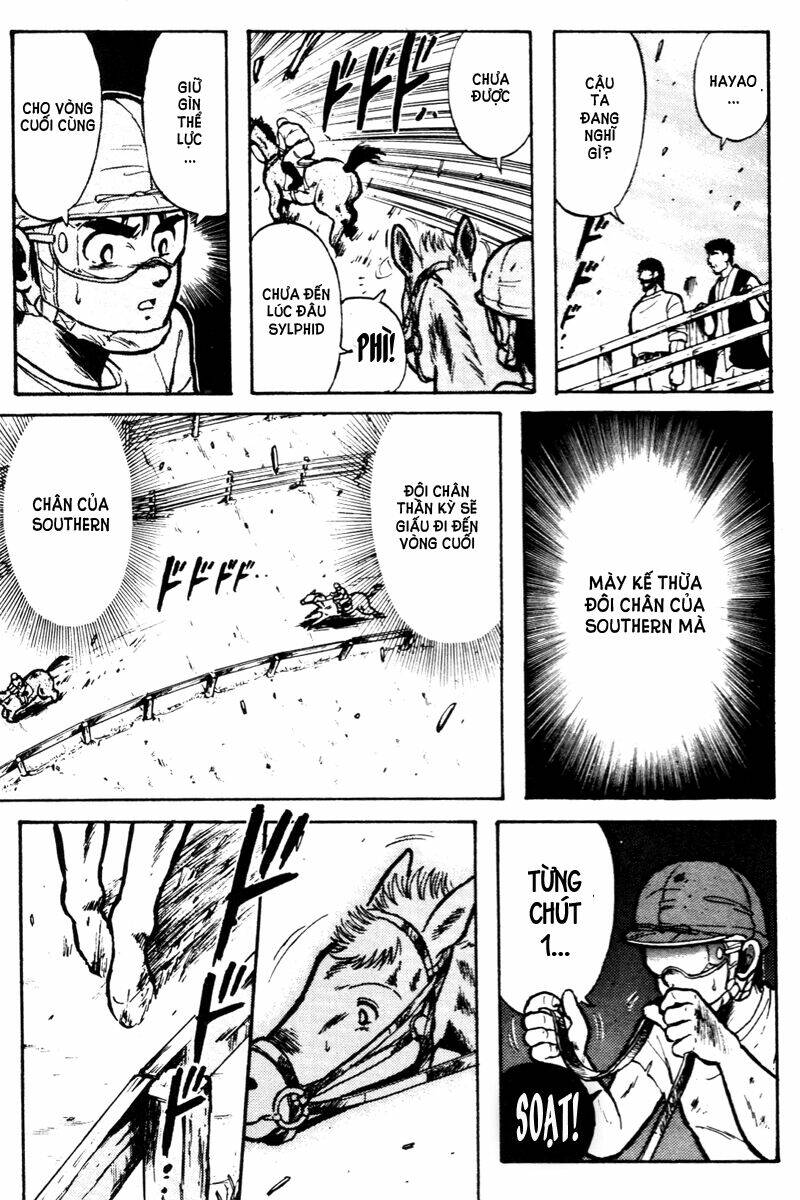 kaze no sylphid - phong mã silphid chapter 10 14