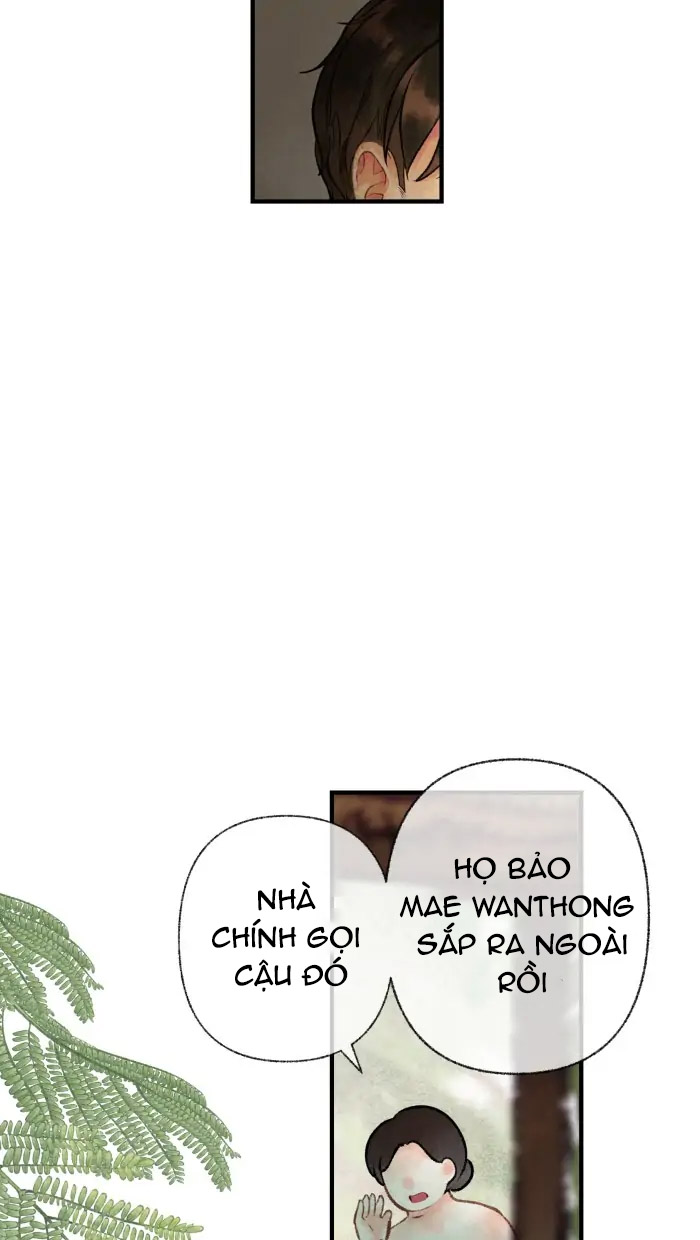 Nữ Chính Không Muốn Yêu chapter 25.1 - Trang 7