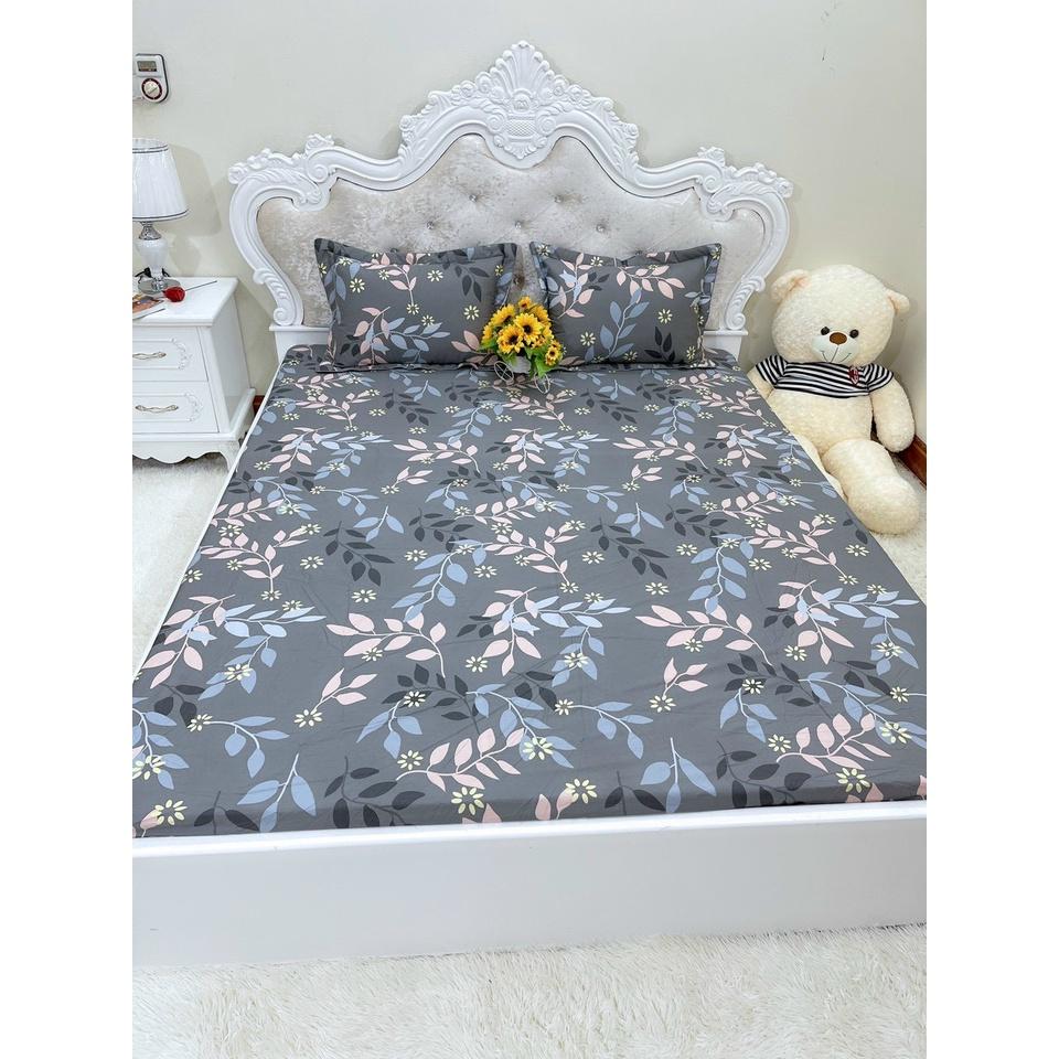 Bộ ga chun trơn và 2 vỏ gối 100% cotton hàn các kích thước