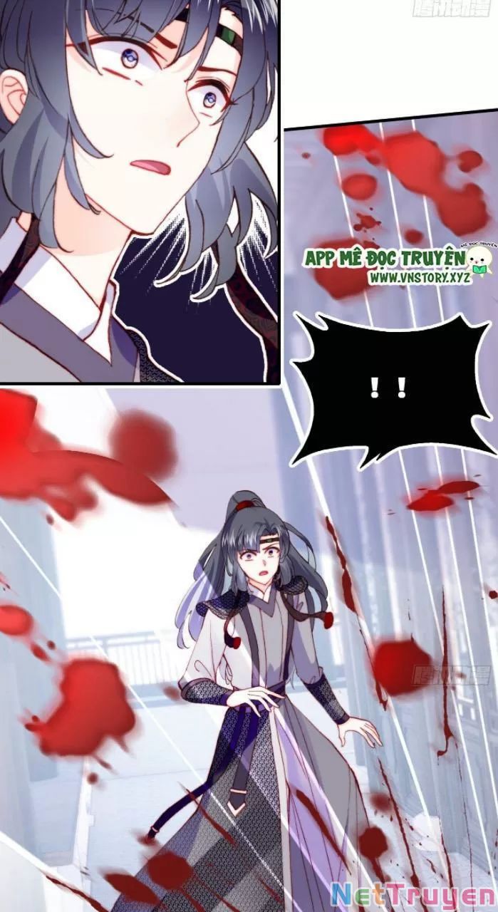 lại bị bệnh chiều chuộng quấn lấy chapter 31 50