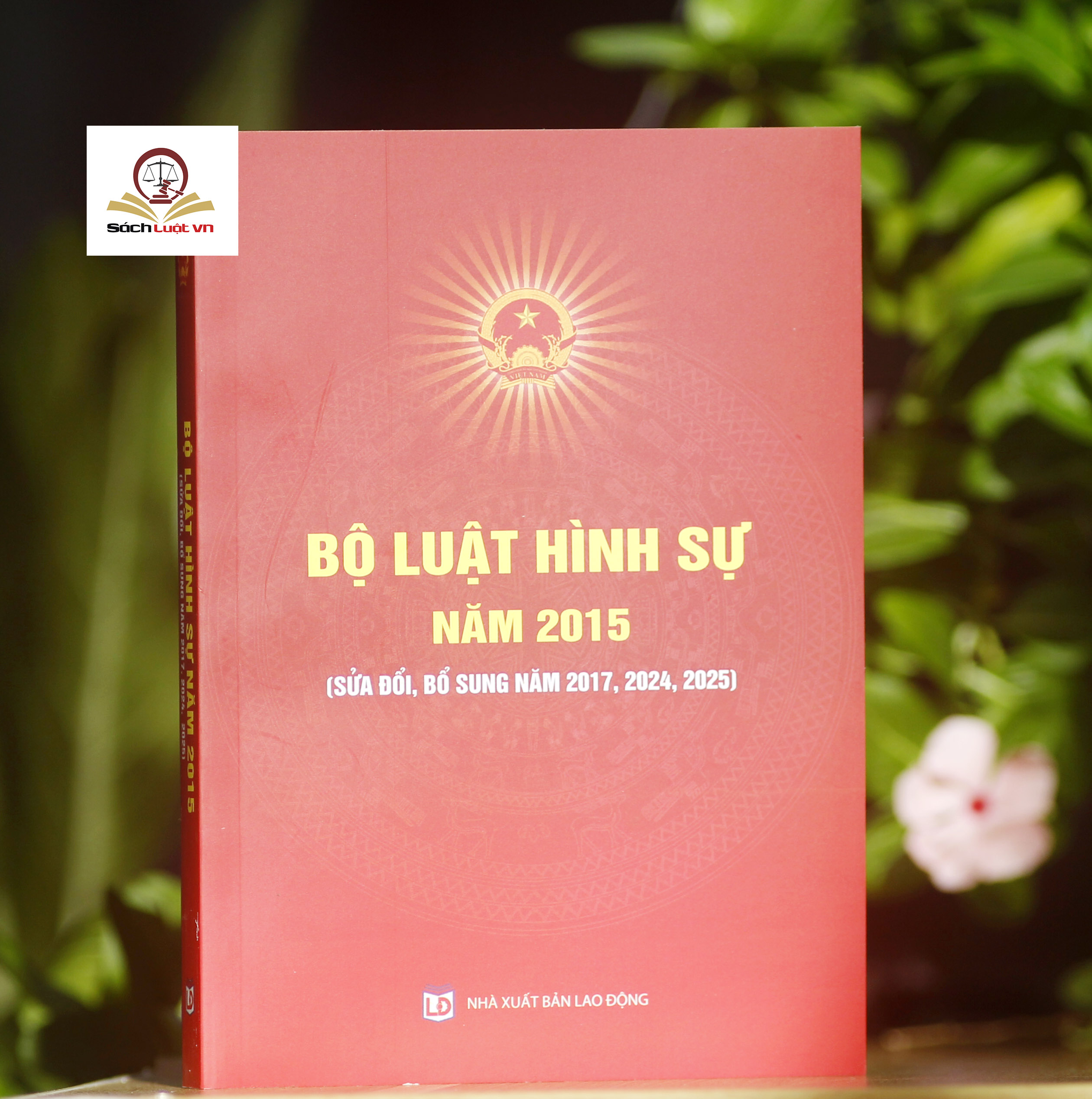 Bộ luật hình sự năm 2015 (sửa đổi, bổ sung năm 2017, 2024, 2025)