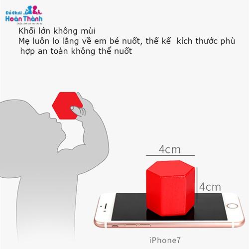 Đồ chơi trẻ em thông minh bằng gỗ - xe thả hình