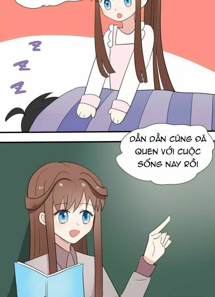 tiểu miêu và hắc diệu thạch chapter 12 6