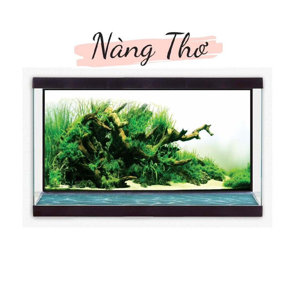 DECAL HỒ CÁ_TRANH 3D CÂY THUỶ SINH _DECAL VIP
