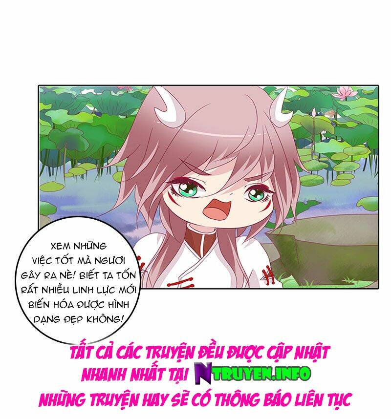 tướng quân mời ra trận chapter 41 20