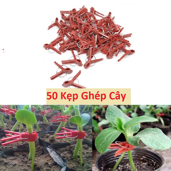 50 Kẹp Ghép Cây Giống Chanh Dây - Dưa Leo - Cà Chua - Bầu Bí Chuyên Dụng - Kẹp Nhựa Tròn
