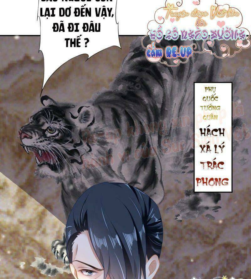 quận chúa vững vàng, thiết lập nhân vật không thể vỡ chapter 11 5