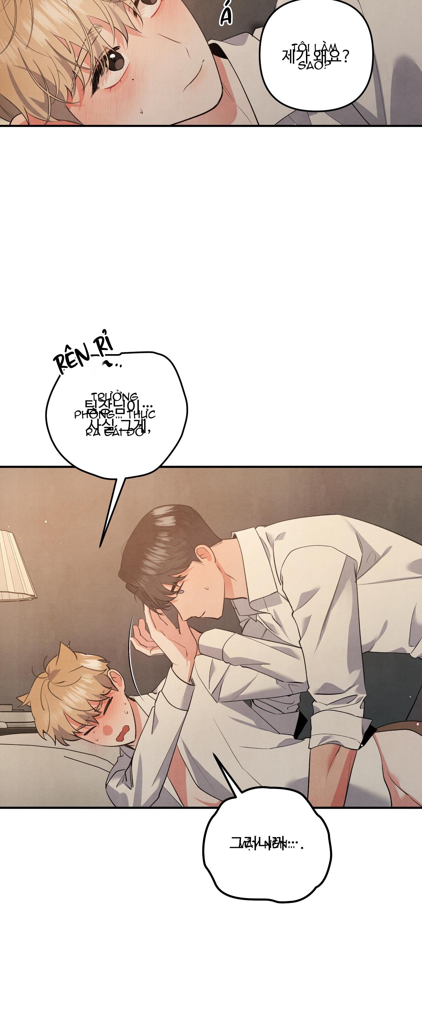 mối quan hệ ngu ngốc chapter 61 38