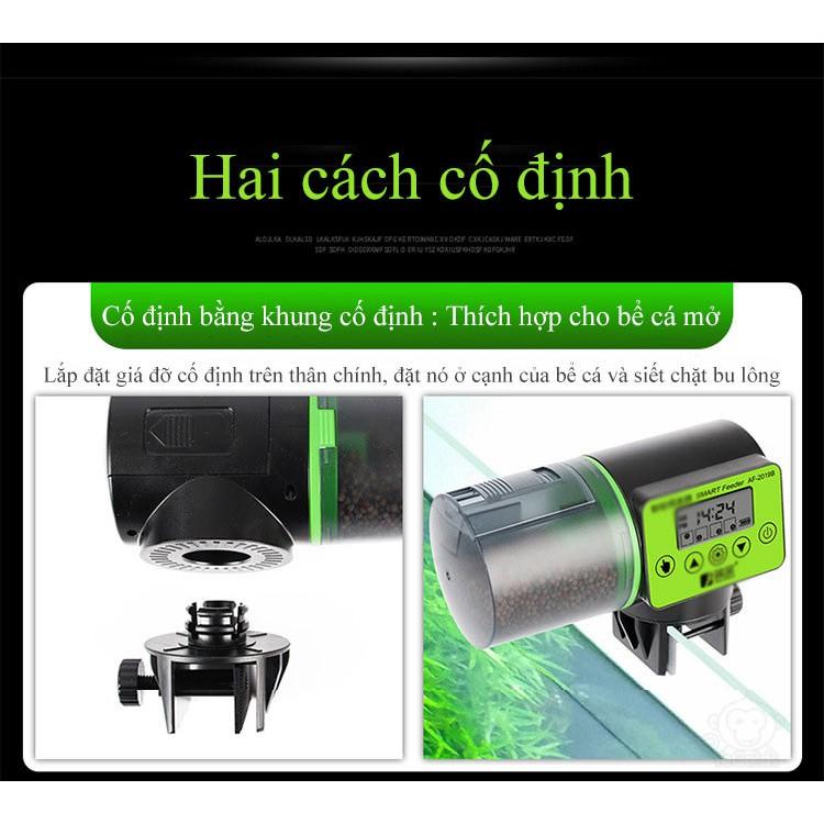 THIẾT BỊ HẸN GIỜ CHO CÁ ĂN TỰ ĐỘNG THẾ HỆ MỚI 2020