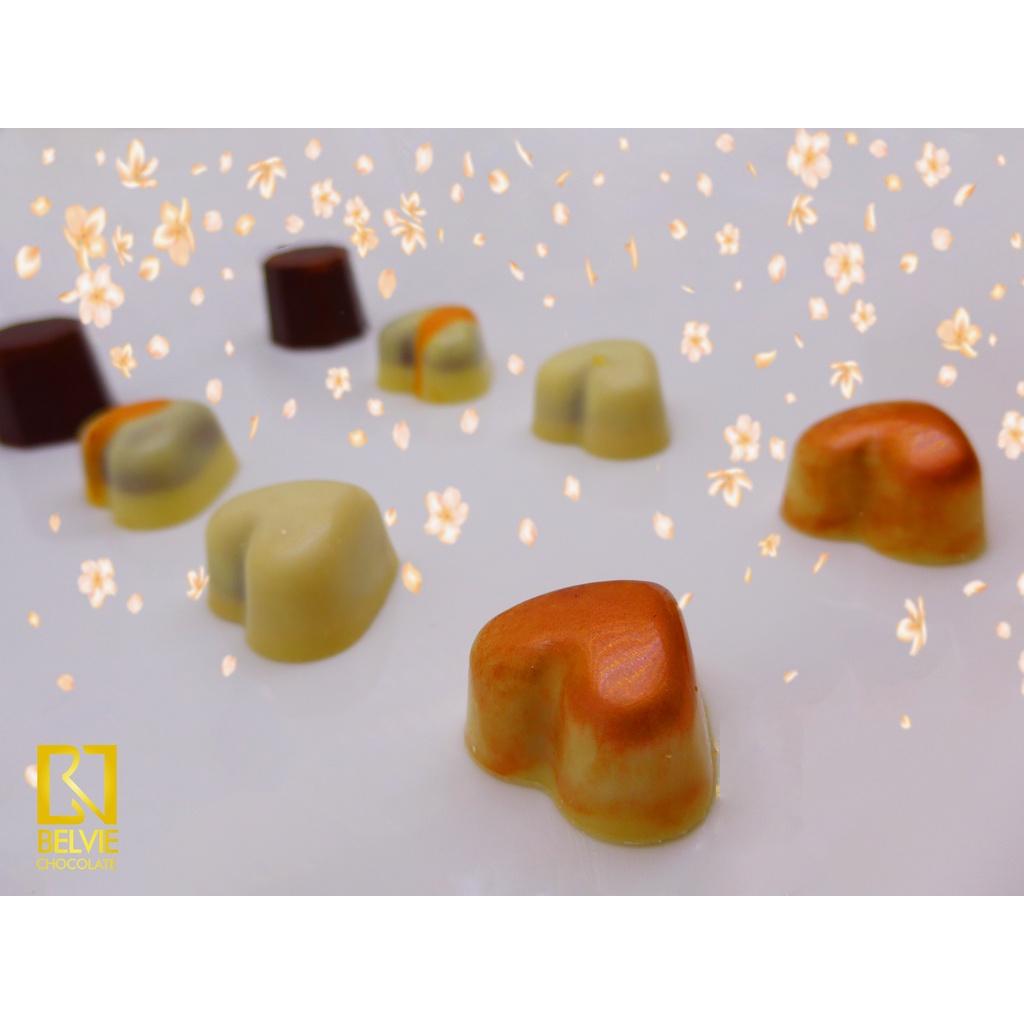 Hộp socola tươi Belvie 10 viên