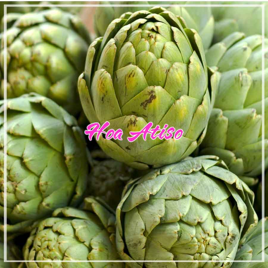 500g HOA ATISO xanh Đà Lạt sấy khô nguyên chất loại 1