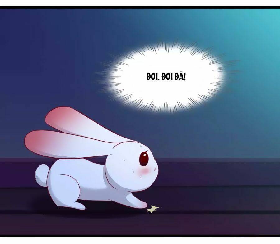 thỏ yêu tiểu vương phi chapter 45 6