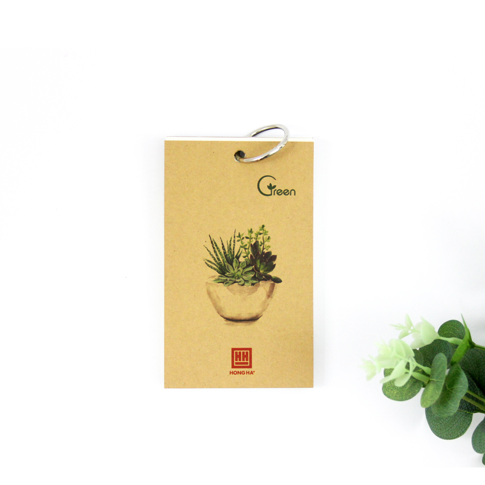 Sổ Flash card 200 trang Green Plant 4156 (10 quyển)