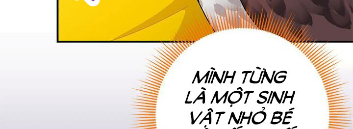 công chúa của loài chim chapter 51.1 234