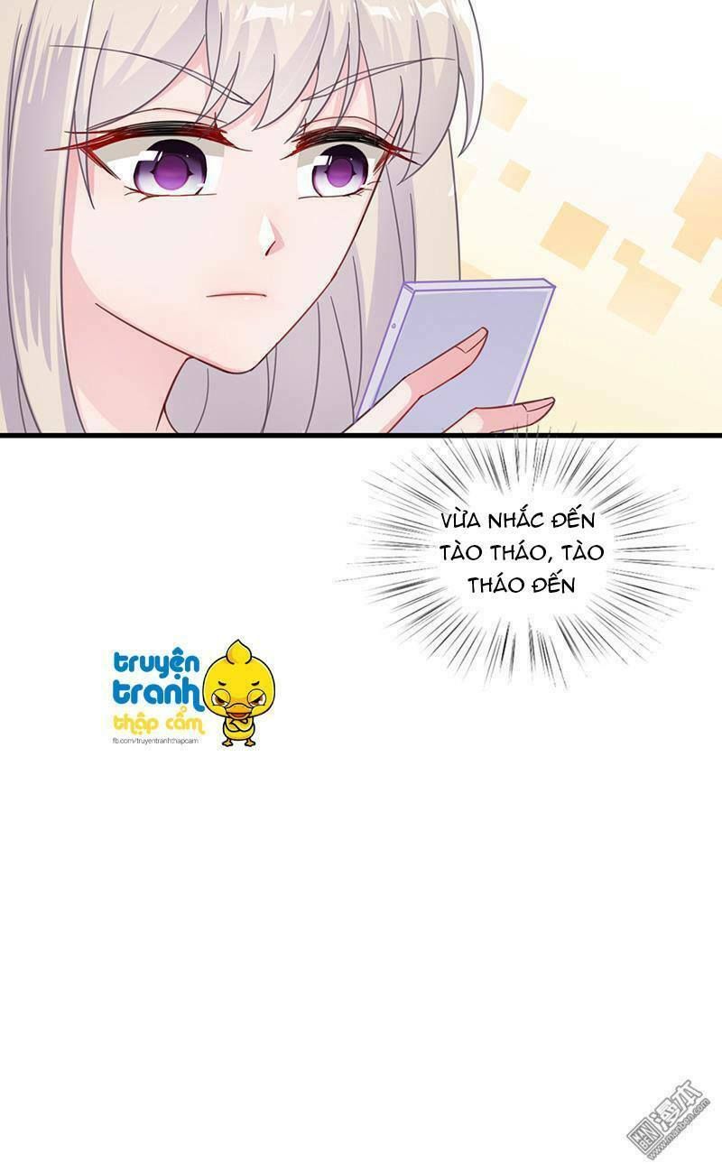 chọc tới chủ tịch tổng tài 2 chapter 12 15