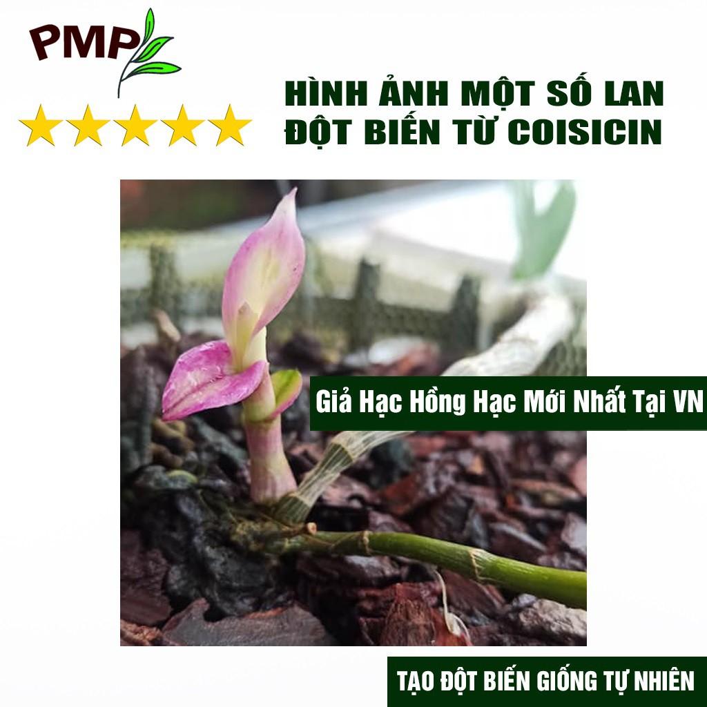 3 Gói Coisicin Gây Đột Biến Lan