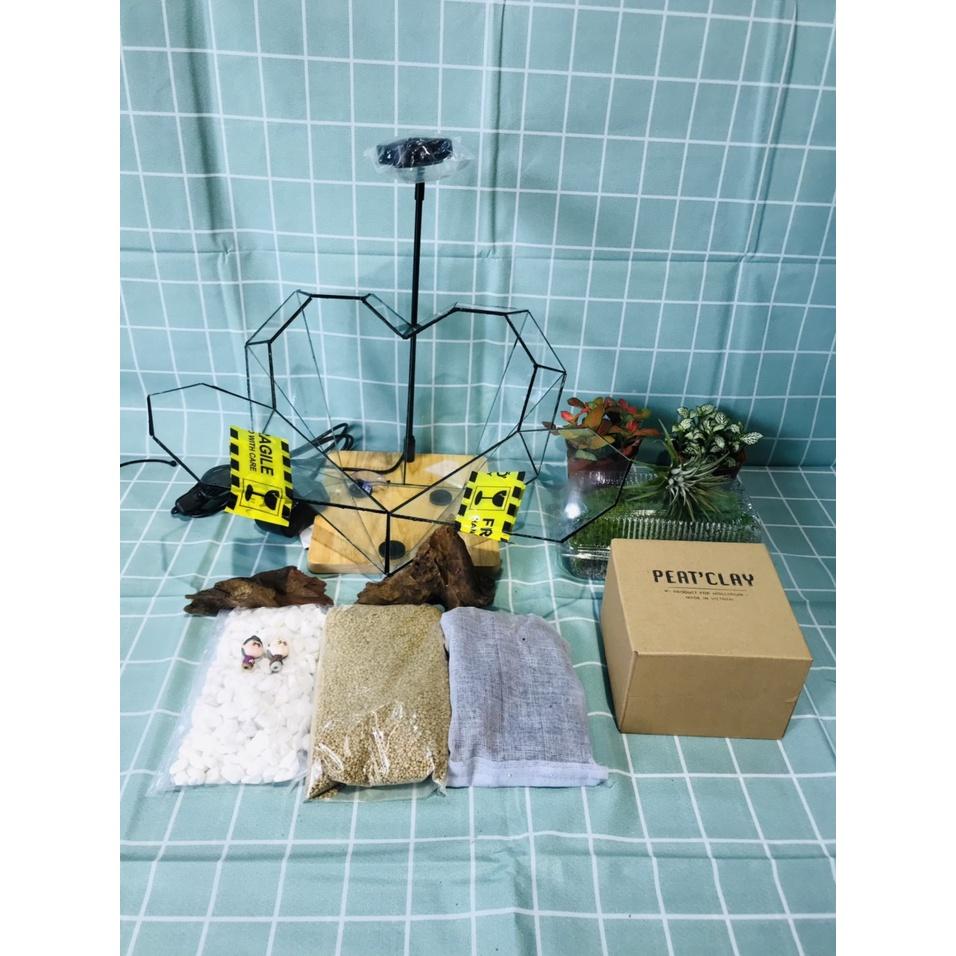 COMBO TỰ SET TERRARIUM-TRÁI TIM VALENTINE -VƯỜN NHIỆT ĐỚI