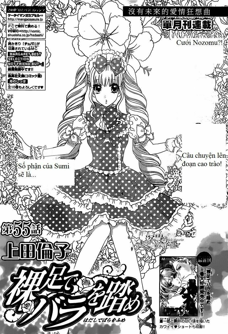 hoa hồng đỏ chapter 55 1