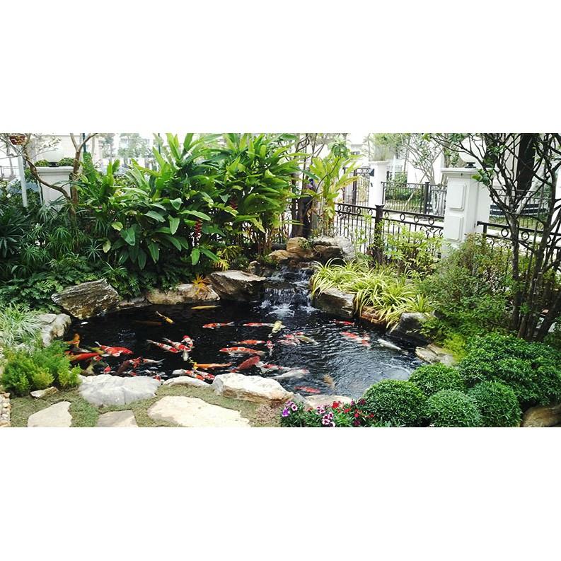 10 gói Men pha lê làm trong nước bể cá