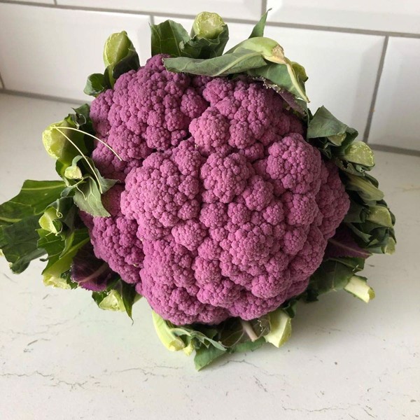 Hạt Giống Bông Cải Tím (lơ tím) PURPLE CAULIFLOWER 228 (1g)