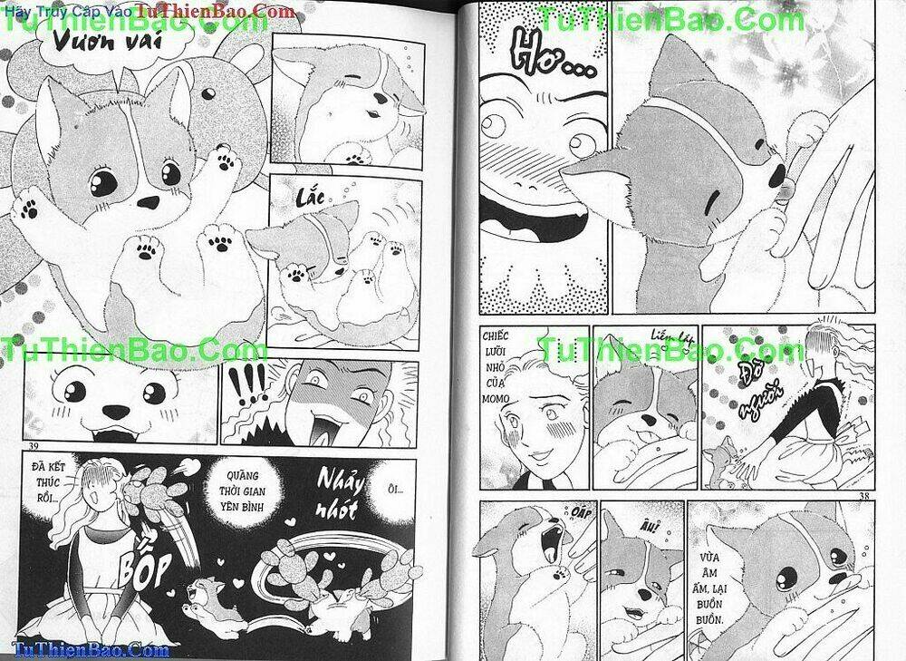 chó con mo mo chapter 1 20