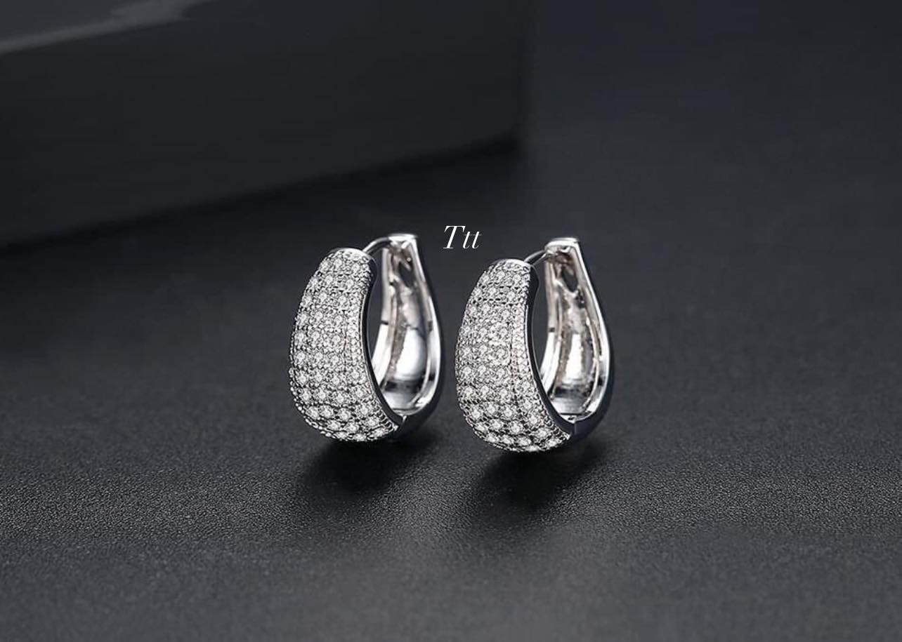Bông tai bạc thời trang chất liệu bạc s925 MS085d