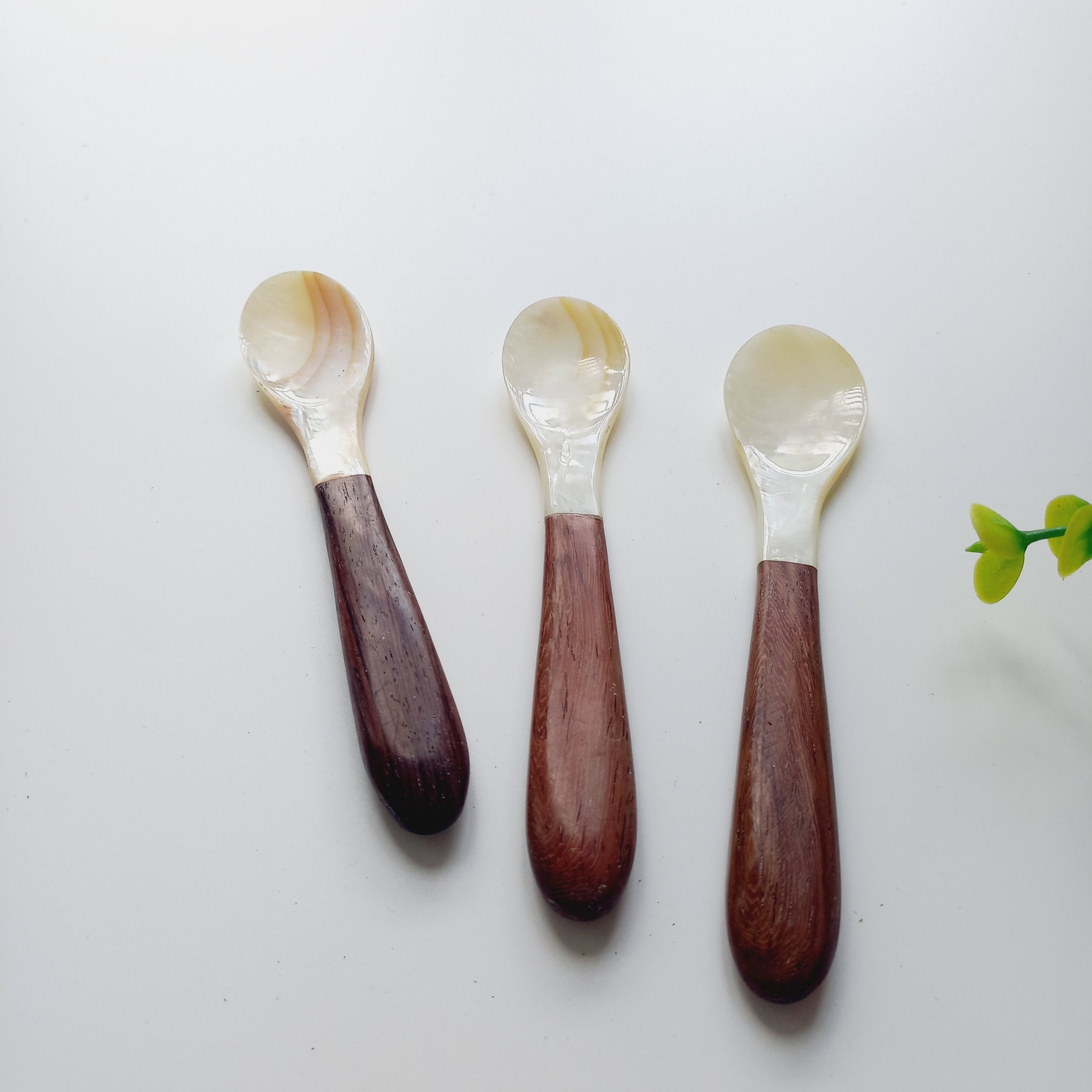 Thìa Trai Trắng Cán Gỗ Dài 13cm Tinh Tế Ăn Trứng Cá Hồi, Trứng Cua, Ăn Sữa Chua, Ăn Dặm Cho Bé Của Vitrapro