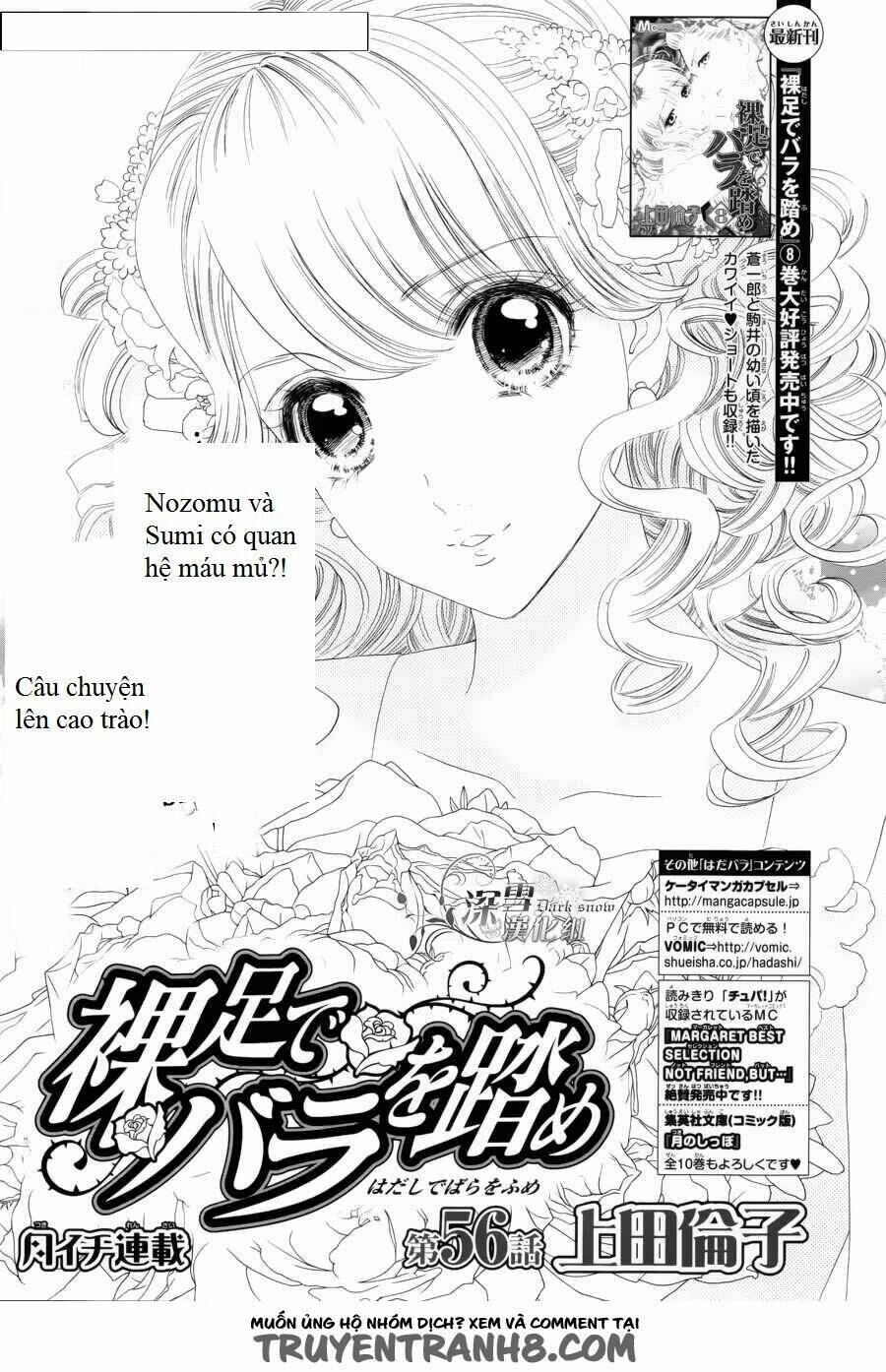 hoa hồng đỏ chapter 56 1