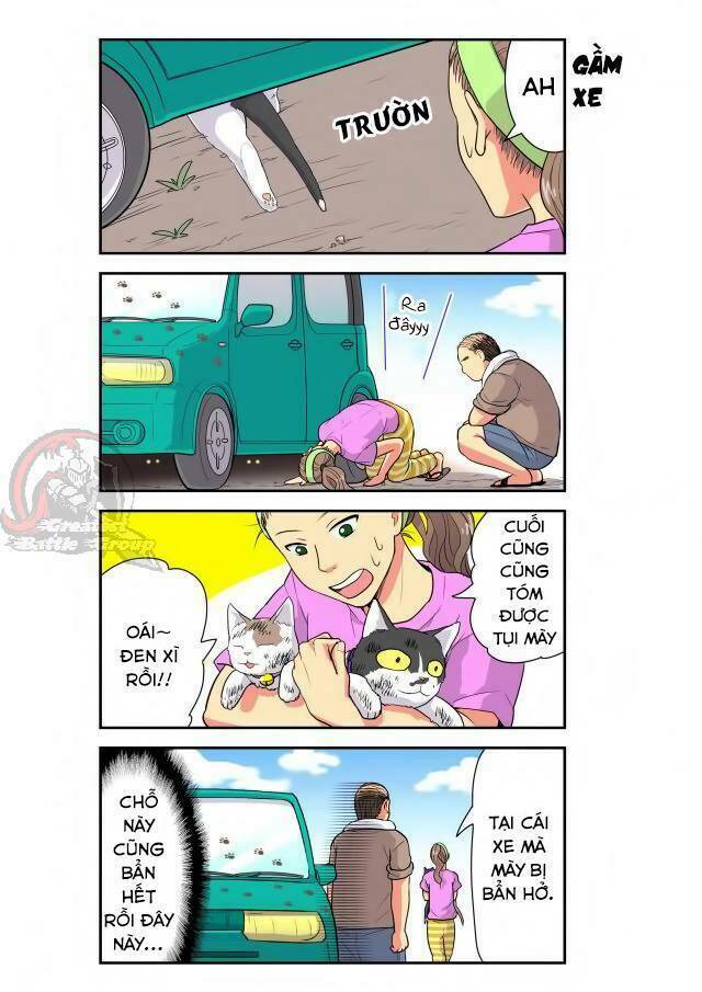 cat is silver vine chapter 19 3