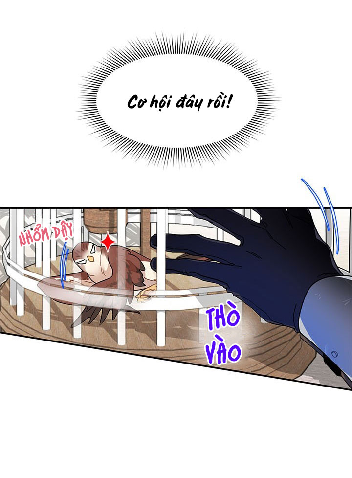 công chúa của loài chim chapter 2 19