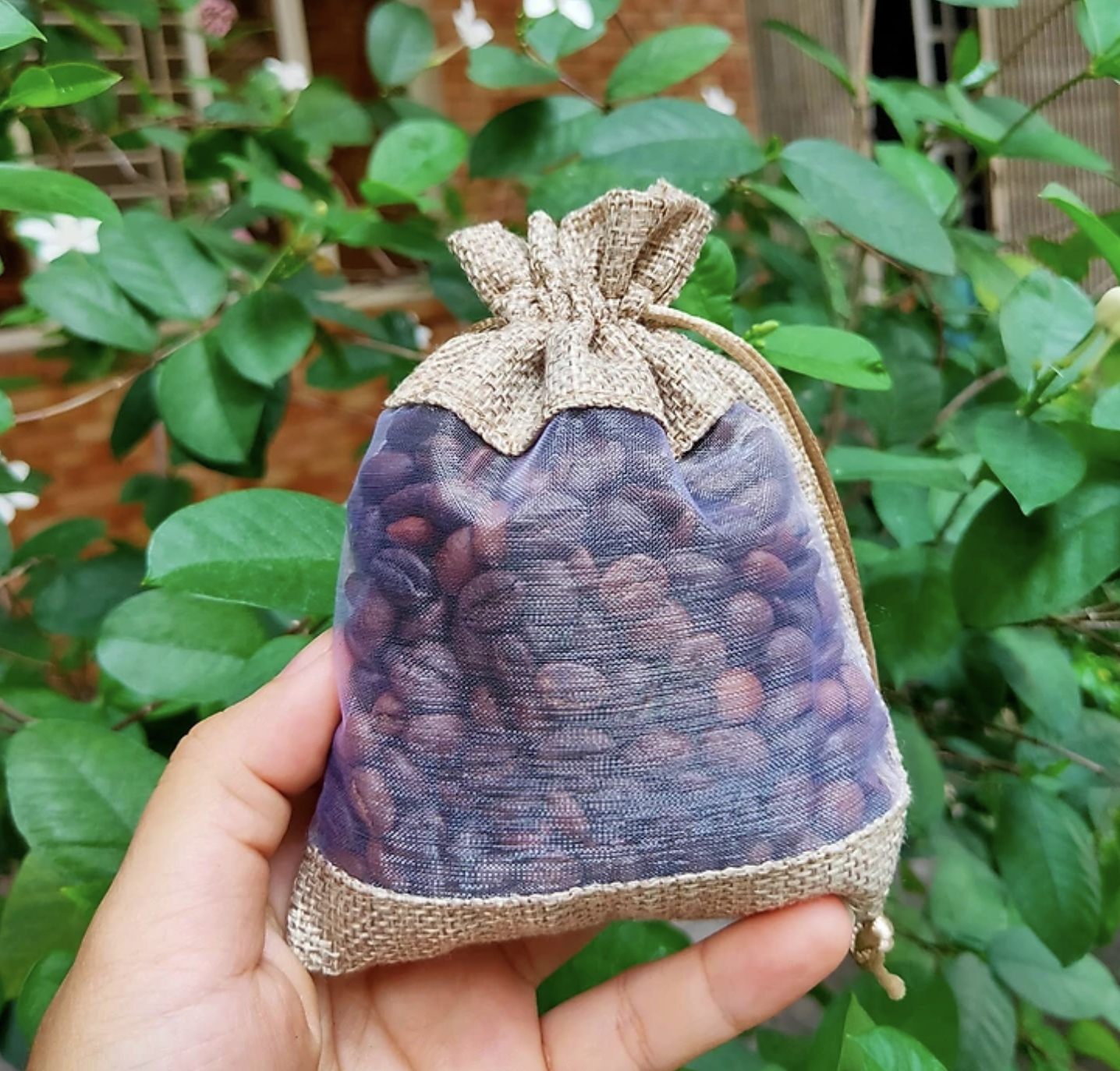 Túi thơm cà phê Việt Nam treo xe ô tô -Robusta Đaklak -100G