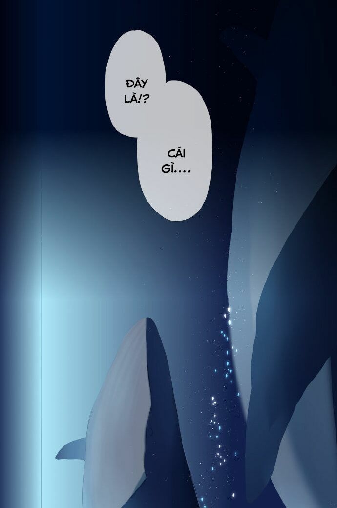 Tình yêu là màu hoa anh thảo chapter 37.3 20