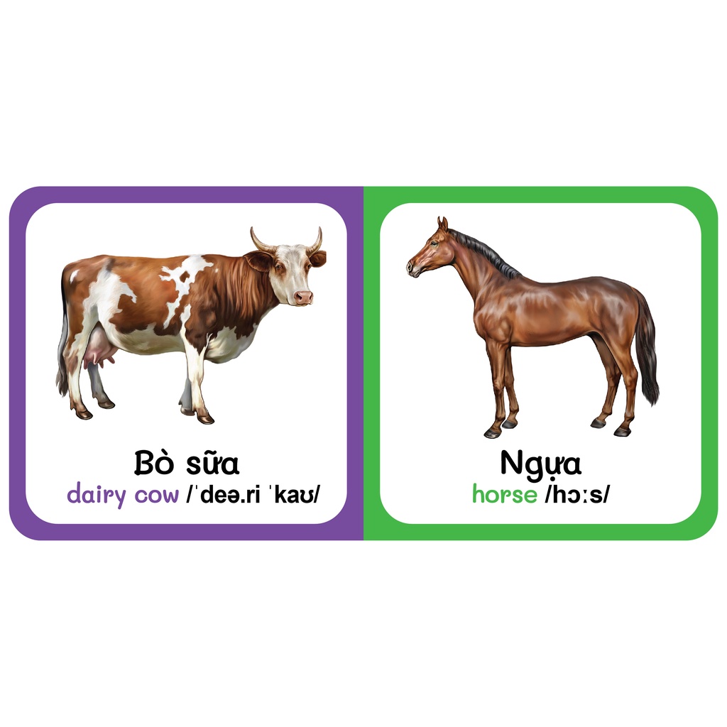 Sách - combo 9 Quyển Từ Điển Bằng Hình Đầu Tiên Của Bé Từ 0-6 tuổi - Song Ngữ Anh- Việt