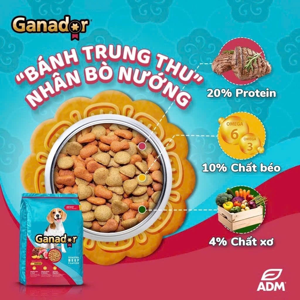 Thức Ăn Hạt Cho Chó Lớn Vị Thịt Bò Nướng Ganador Adult Roasted Beef Gói 1.5kg