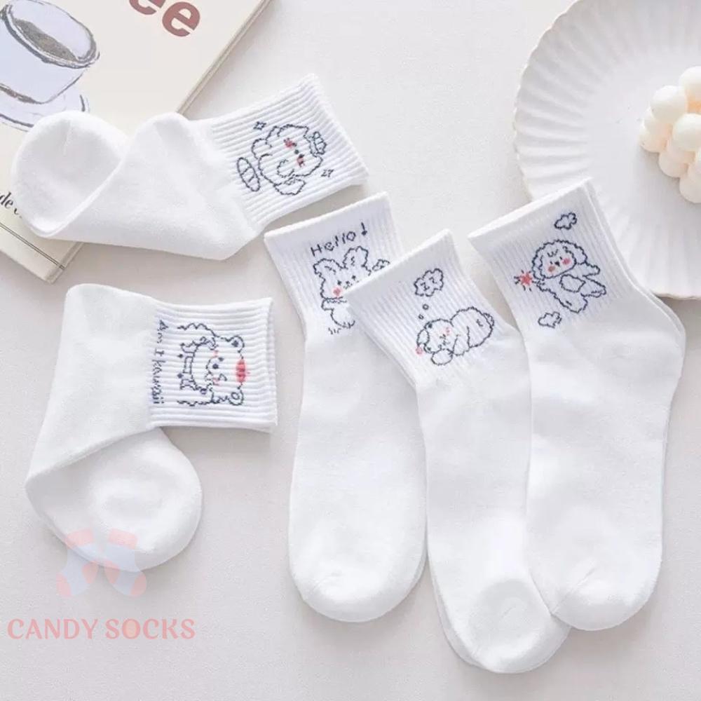 Tất nữ vớ nữ cổ trung, Set 5 đôi tất nữ phong cách Hàn Quốc, co dãn 4 chiều, chất liệu cotton Hàn cao cấp TN-196