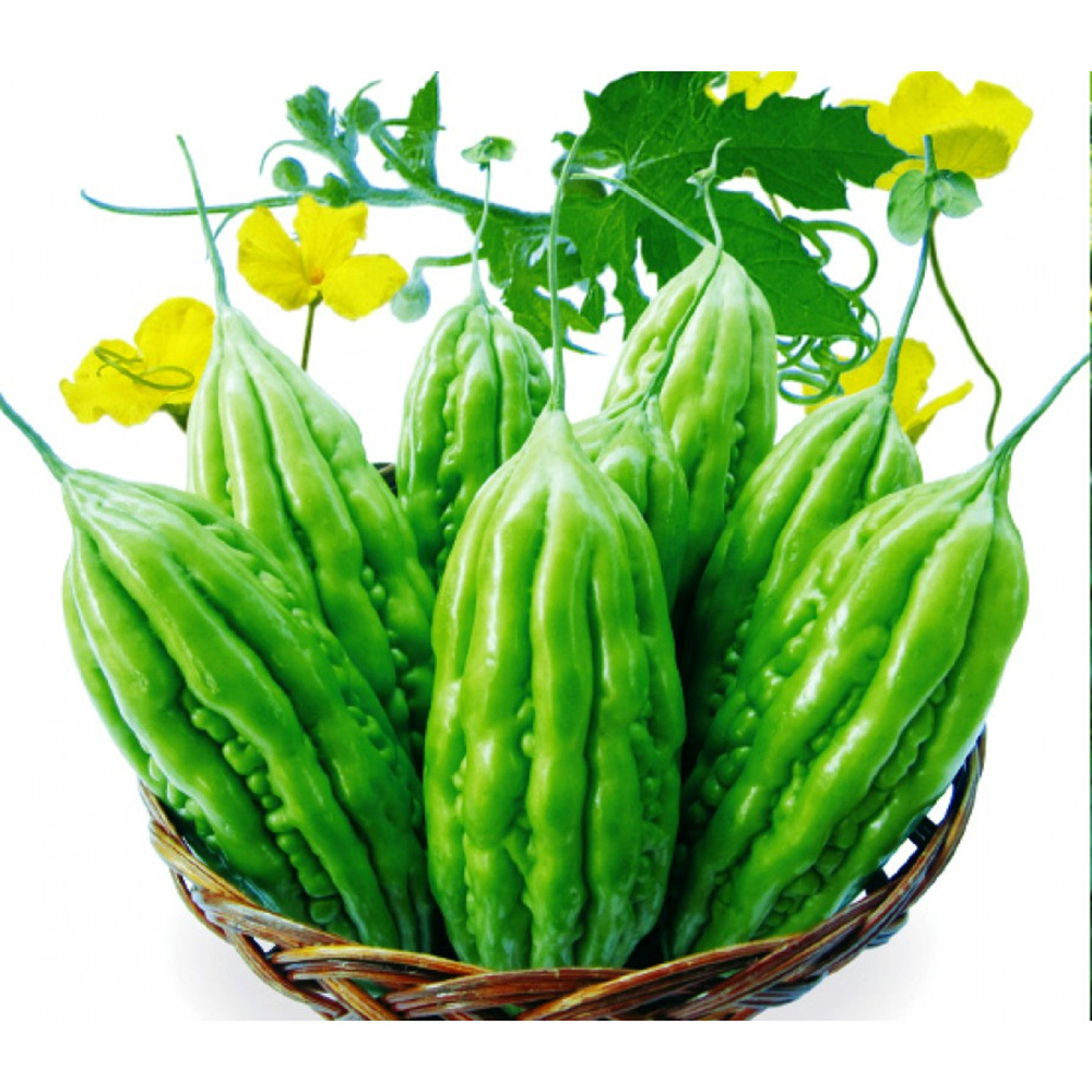 Túi 12 Hạt Giống Mướp Đắng - MD01