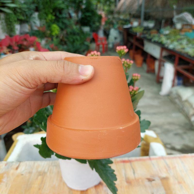 Chậu đất nung Bình Dương - Chậu ly có gờ, đường kính miệng 10cm, chiều cao 9cm