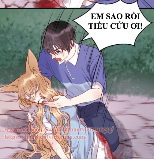 lượm được một tiểu hồ ly phần 1 chapter 66 9