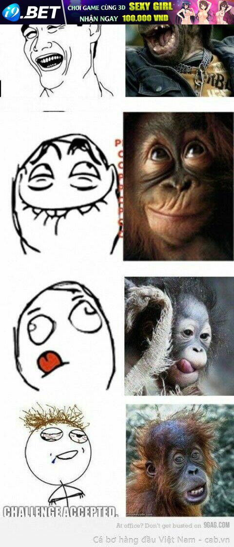 rage comic-troll chapter 33 3