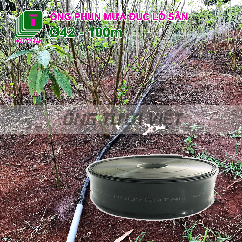 100m Ống dây tưới phun mưa Nguyễn Tân phi 42 | Ống mềm sử dụng trong hệ thống tưới nông nghiệp