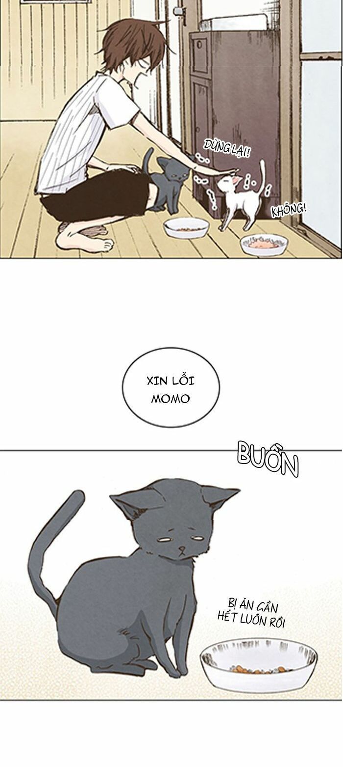 honey! honey! marry me! chapter 35 22