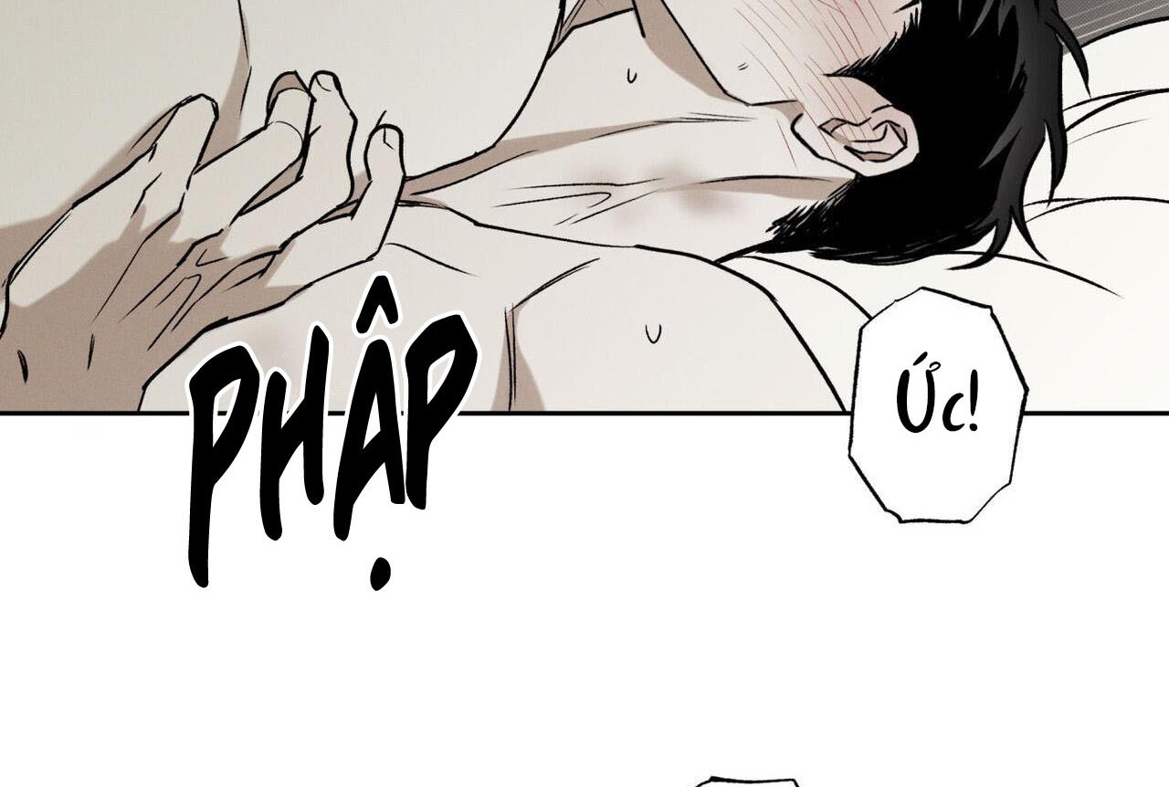 chàng giao pizza và gold palace chapter 47 32