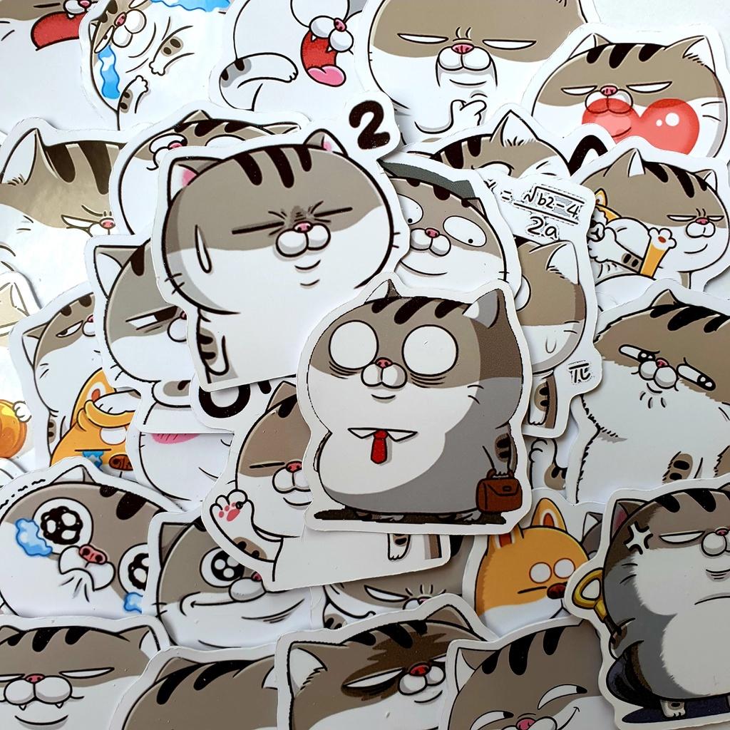 Bộ sticker chủ đề mèo ami mũ bảo hiểm, laptop, ván trượt, vali