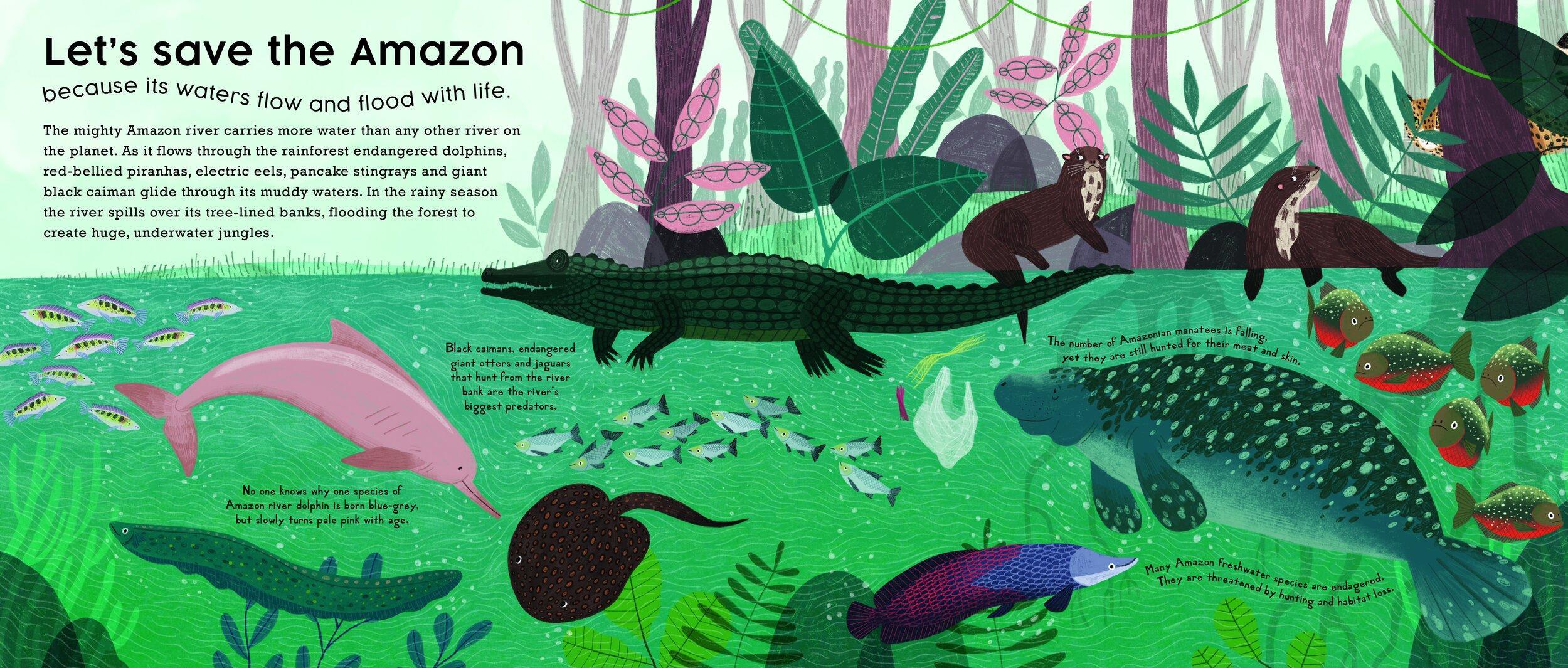 Let's Save the Amazon: Why we must protect our planet