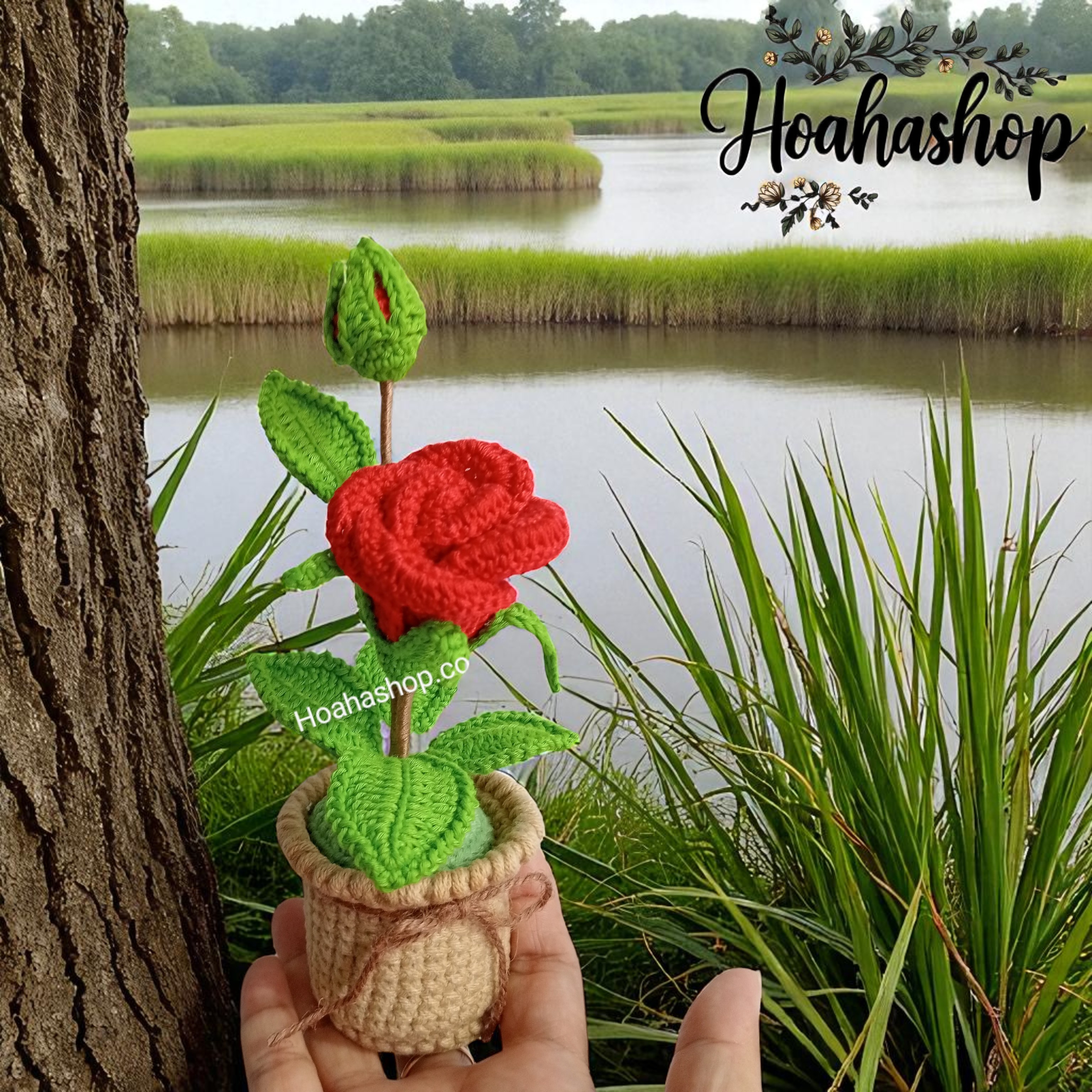 Chậu hoa hồng mini handmade – điểm xinh cho góc làm việc