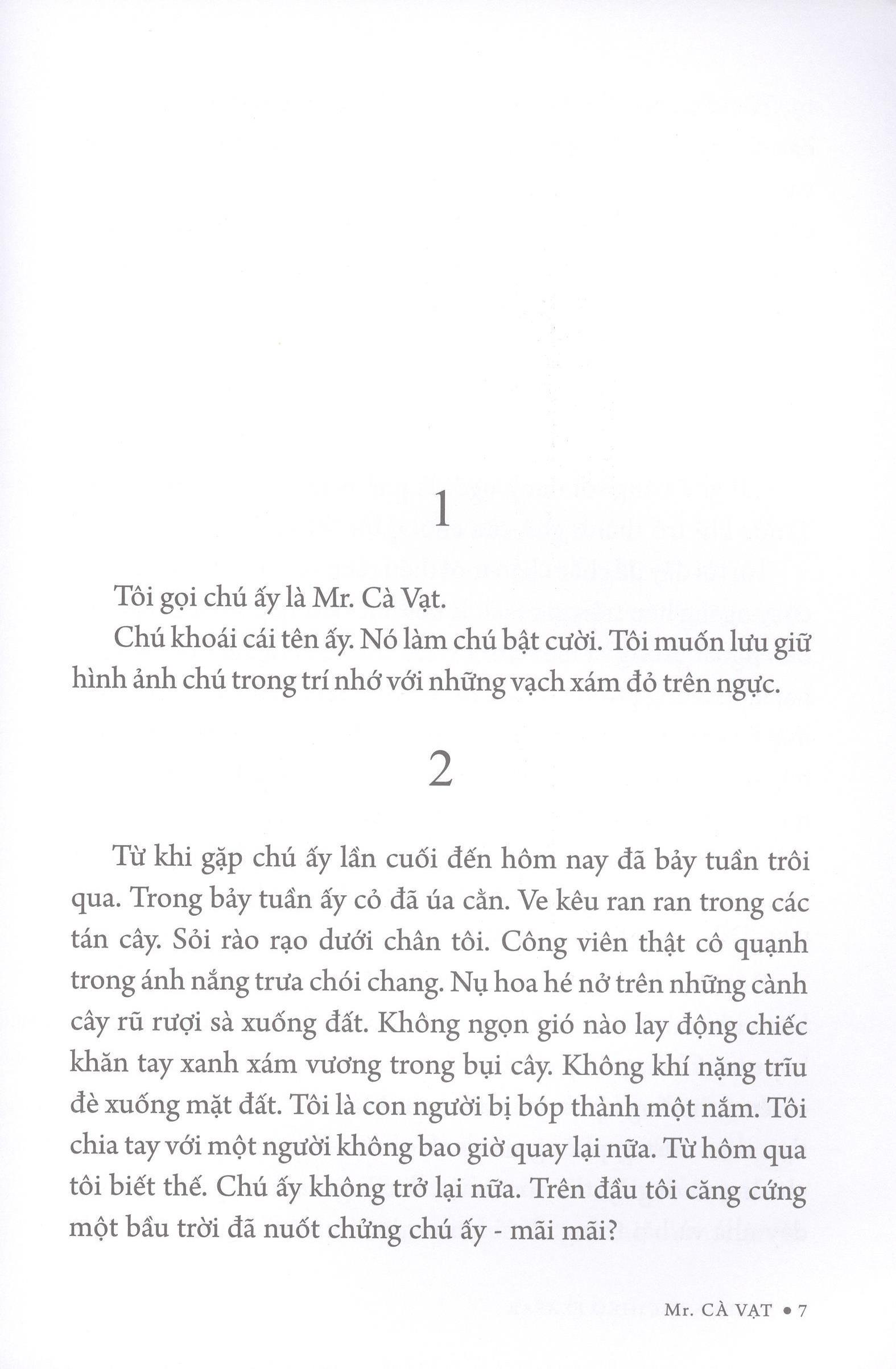 Mr. Cà Vạt
