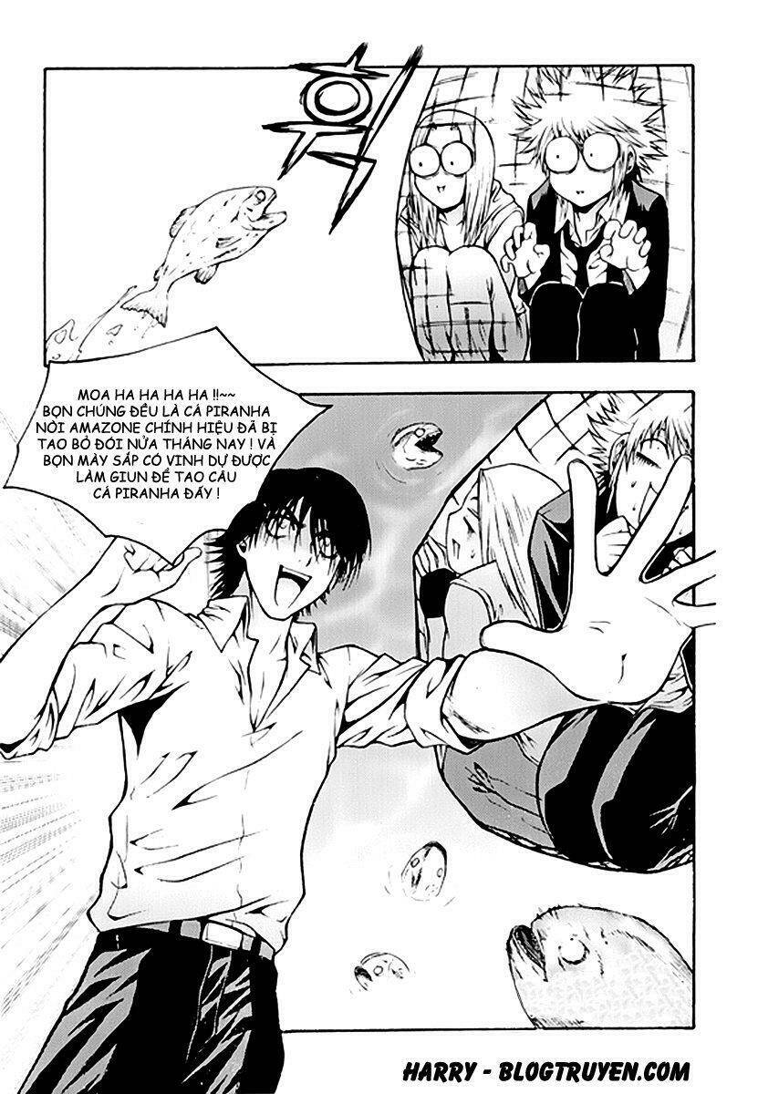 zippy ziggy chapter 53 20